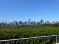Some of the city beyond the vast expanse of Central Park