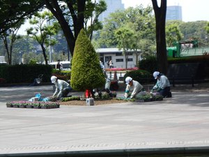 Workers planting flowers in a park close to Tokyo station