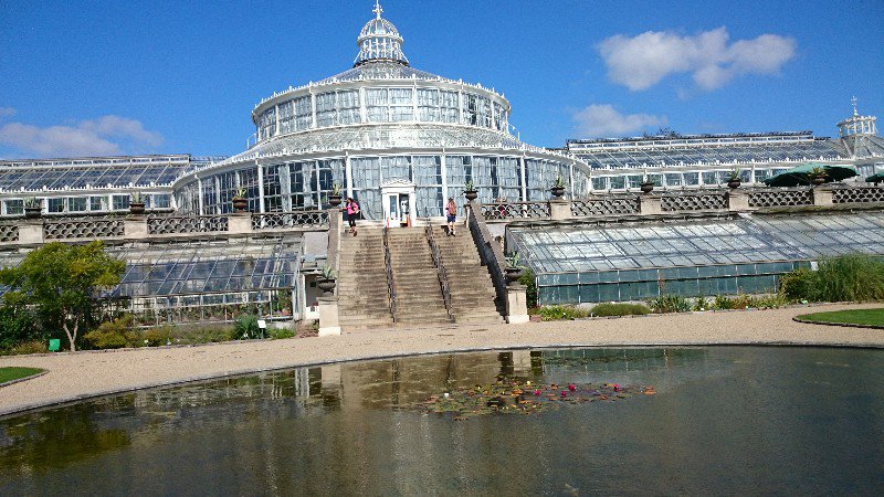 The Palm House & greenhouse 