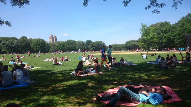 Central Park Great Lawn on a Sunday afternoon 