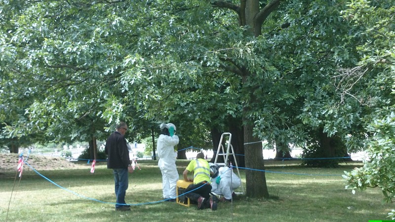 What's going on in Hyde Park?