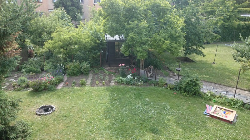 View of the garden from the verandah!