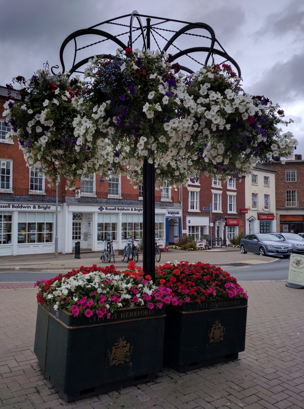 Flowers in Hereford