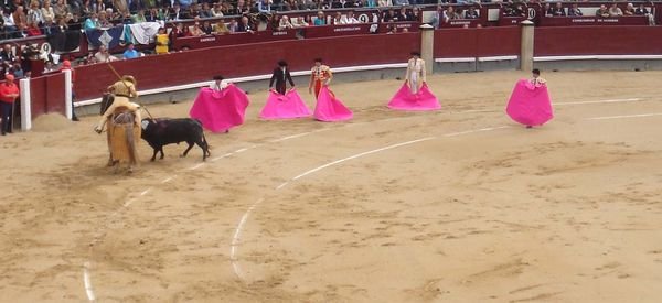 How many bullfighters does it take...