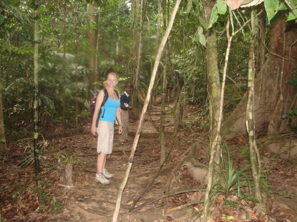 Nibby on the Jungle trek