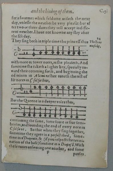 Music notes for the buzzing of bees...