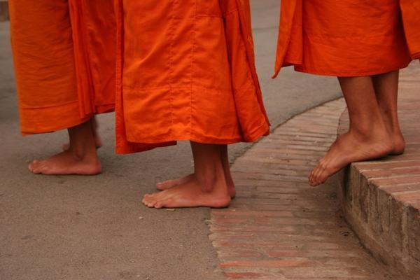 Monk Feet