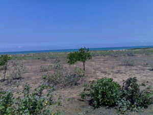 View of ocean from East Cost Road to Pondicherry