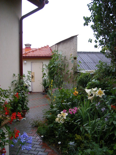 Czarny most cottage garden