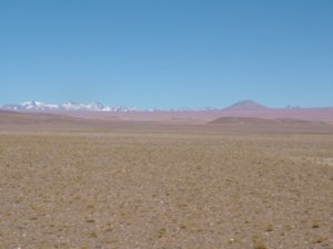 Northern Argentina to Chile
