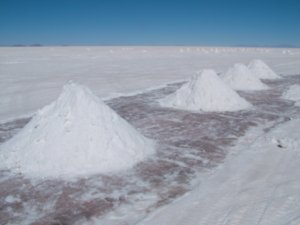 Salt piles drying