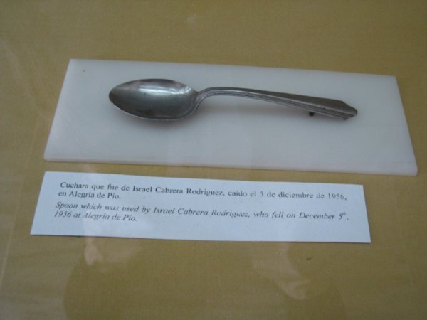 Revolutionary Spoon