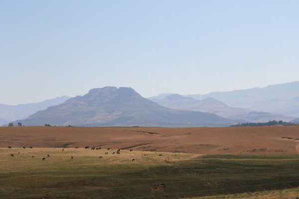 Eastern KwaZulu Natal
