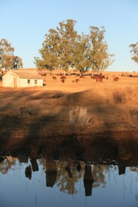 Anderson Farm