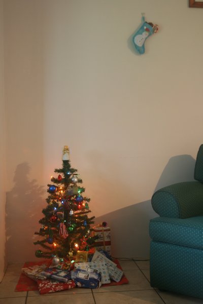 My tree and stocking