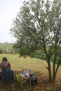 Very professional interviews under a tree in Ndaleni