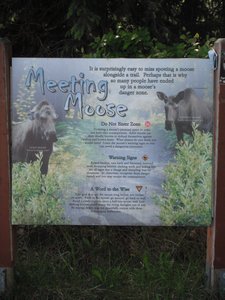 Moose Warnings