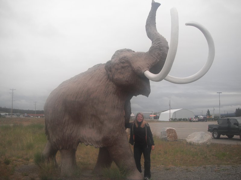 Meeting the Mammoth