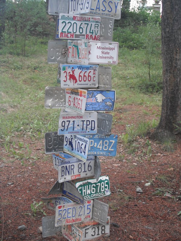 Sign forest