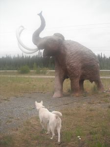 Brody didnt like the Mammoth