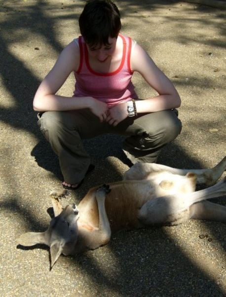 The kangaroo that thought it was a dog...