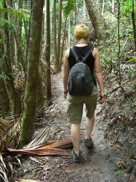 Trekking through Pile Valley- subtropical rainforest