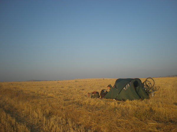 Camped in the wheat
