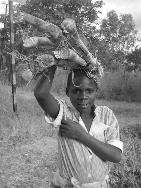 A little girl carrying firewood.