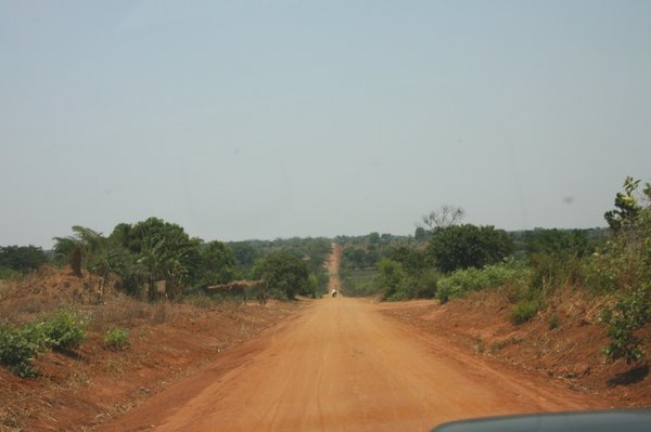Road from Mng'ongo to Ndaula 2