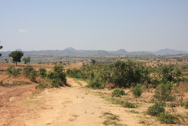 Mozambique during the dry season