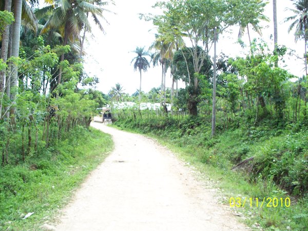 Trail1