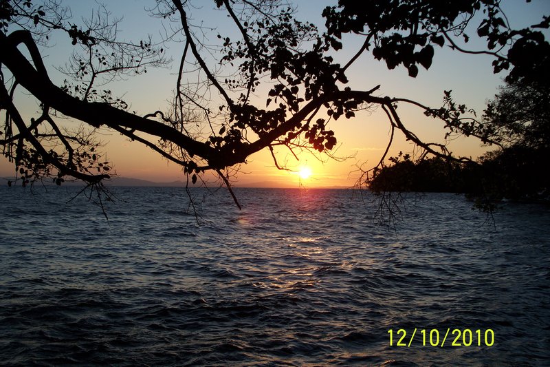 Sunset Monkeys Island6