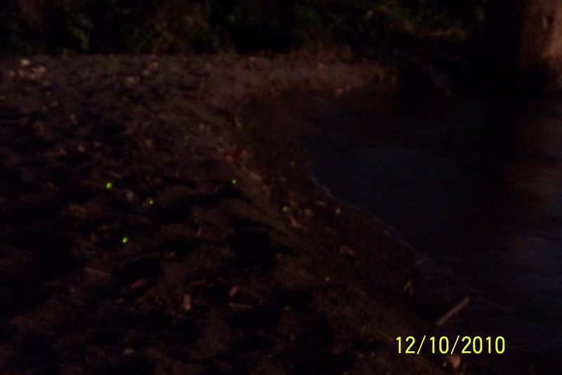 Lightining Bugs on the beach Ometepe