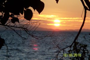 Sunset Monkeys Island8
