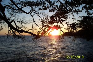 Sunset Monkeys Island1