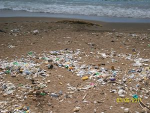 SD Trash beach