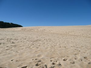 lake Wabby Dunes
