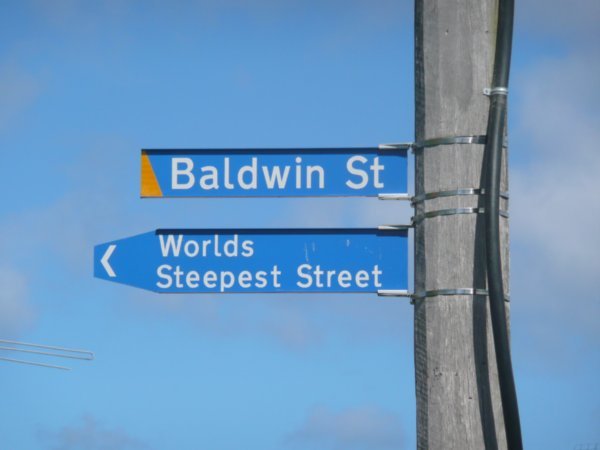 Baldwin St - Steepest Street