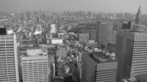Tokyo, Japan Feb 2009 049