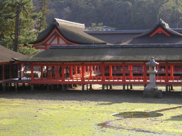 beautiful temple in Miyajima