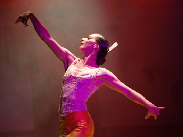 Flamenco Dancer #3