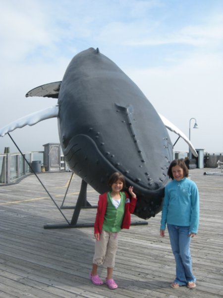 We love whales!