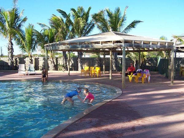 Swimming pool oasis