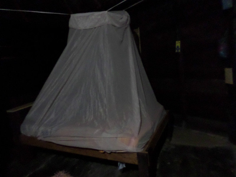 Mosquito net times.