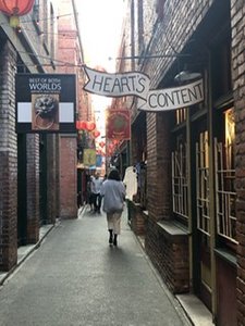 Victoria’s smallest street - Tin Pan Alley