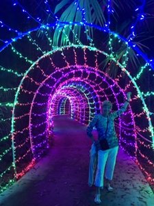 Selby Gardens Christmas lights
