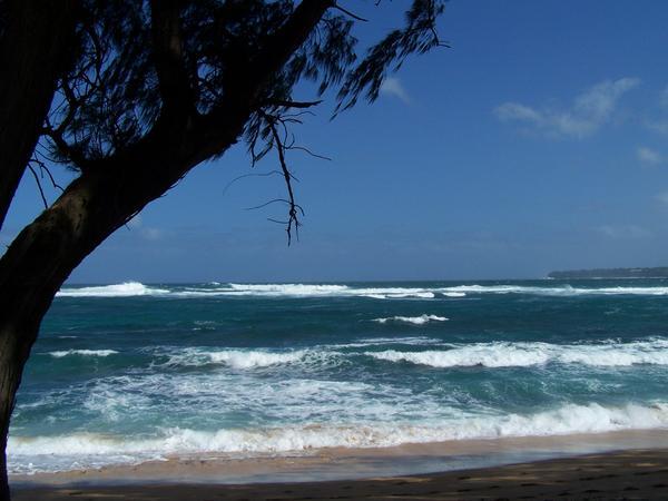 Heavy surf on the north shore
