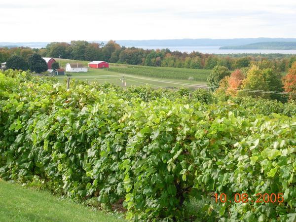 Wine Country on Mission Peninsula, Michigan
