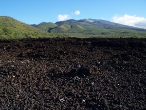 A bed of lava rocks and pumice