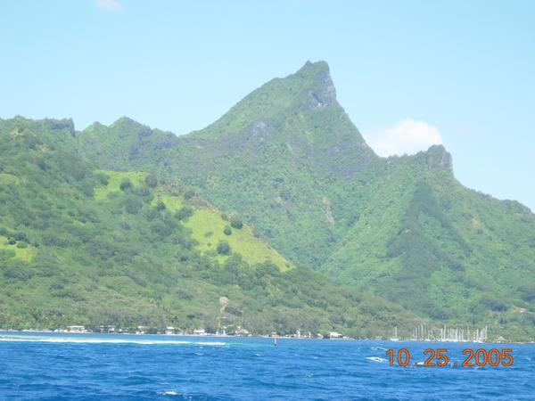 View of Moorea Island 